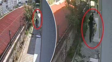 Ankara’da Kan Donduran Vahşet! Sahiplendiği Köpekleri Evde Parçalayıp Öldüren Doktor Tutuklandı