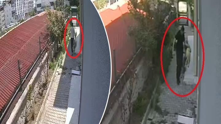 Ankara’da Kan Donduran Vahşet! Sahiplendiği Köpekleri Evde Parçalayıp Öldüren Doktor Tutuklandı