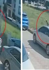 Aydın’da Sokak Köpeği Kabusu! Kaçmak İstersen Otomobile Çarptı