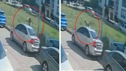 Aydın’da Sokak Köpeği Kabusu! Kaçmak İstersen Otomobile Çarptı