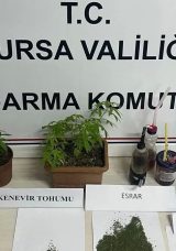 Bağ Evinde Uyuşturucu Partisine Jandarma Baskını
