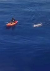 Bodrumlu Yüzücü Aysu’dan Bir Başarı Daha
