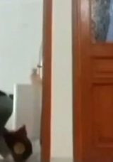 Deprem Anında Oyun Oynarken Yakalanan Çocukların Korku Dolu Anları