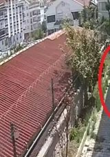 Sahiplenme Bahanesiyle Köpekleri Parçaladığı İddia Edildi: O Cani Tutuklandı!