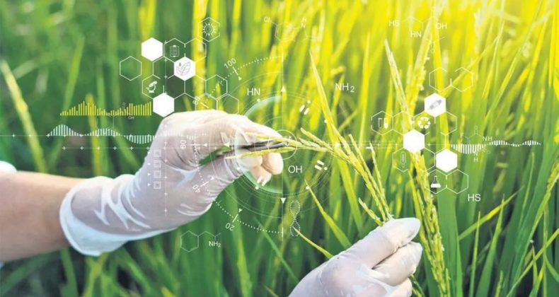 Tarımsal Ar-Ge’ye 1.3 Milyar Lira Destek