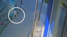 1 Yaşındaki Çocuk 5. Kattan Beton Zeminine Düştü: Trajedi!