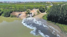 10 Milyon Lira Çevre Cezası