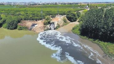 10 Milyon Lira Çevre Cezası