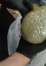 10 Tür Uyuşturucu Maddeyle Yakalandılar