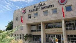 11 Yaşındaki Çocuğa Sokak Köpekleri Saldırdı! CHP’li Belediye Başkanına Soruşturma