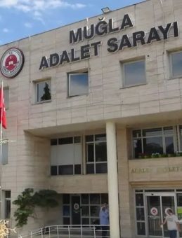 11 Yaşındaki Çocuğa Sokak Köpekleri Saldırdı! CHP’li Belediye Başkanına Soruşturma