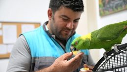 12 Yıldır Aynı Kuşla Arkadaş! “Geveze” ve Bakıcısı Resul’ün Sıra Dışı Dostluğu