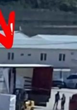 4 Milyon Liralık Cevizi Çaldı: O Dolandırıcı Nasıl Yakalandı?