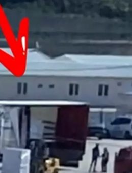 4 Milyon Liralık Cevizi Çaldı: O Dolandırıcı Nasıl Yakalandı?