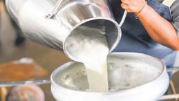 56 Süt Firmasına Rekabet Soruşturması