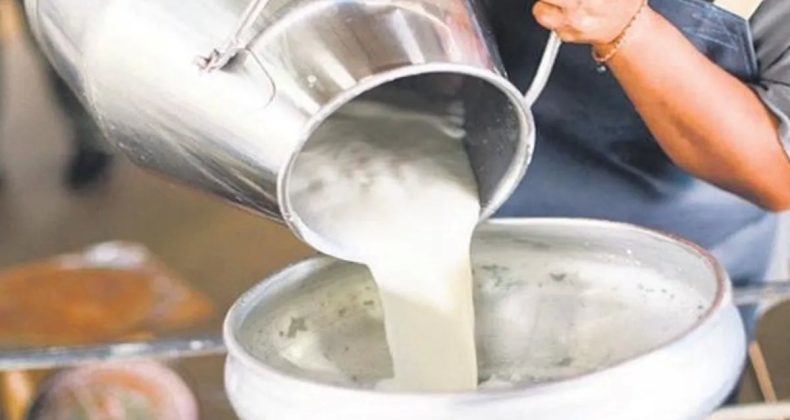 56 Süt Firmasına Rekabet Soruşturması