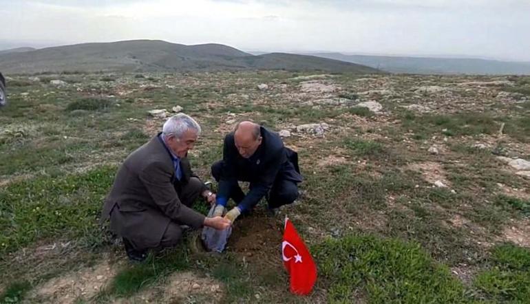 Şehit Dede