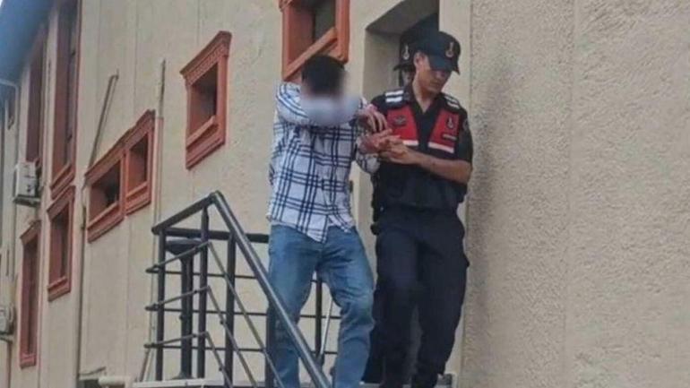 Kurbanlık Hayvanlar