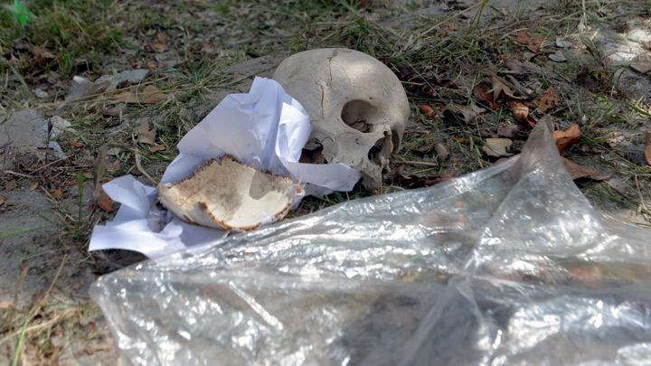 Adana’da Çöpten Kağıda Sarılı Kafatası Bulundu! Soruşturma Açıldı… Çocuğa Ait Olabileceği Düşünülüyor