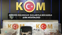 Ankara’da 5 İlde Yasaklı Egzotik Hayvan Satışına Baskın: 96 Hayvan Ele Geçirildi, 12 Gözaltı