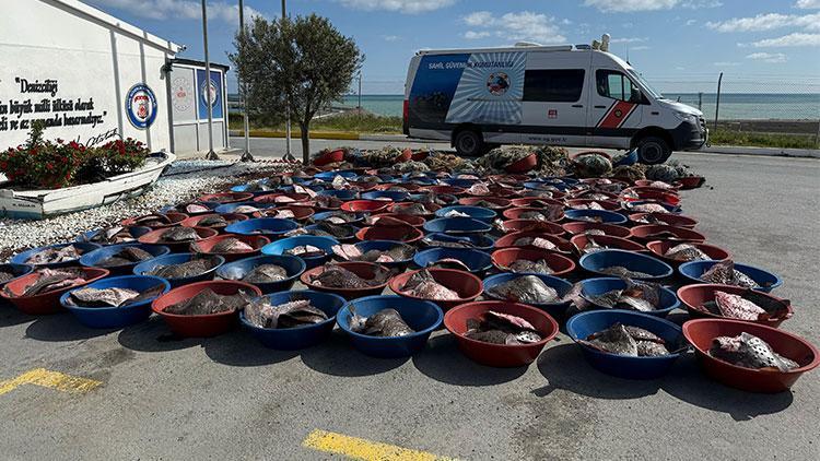 Arnavutköy’de Kaçak Avlanan 900 Kalkan Balığına El Konuldu