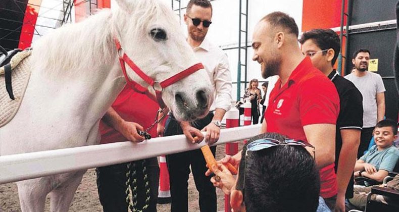 Atla Terapi Büyük İlgi Gördü