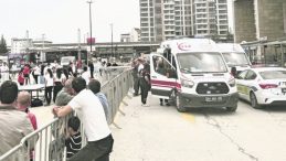 AVM’de Pitbull Dehşeti