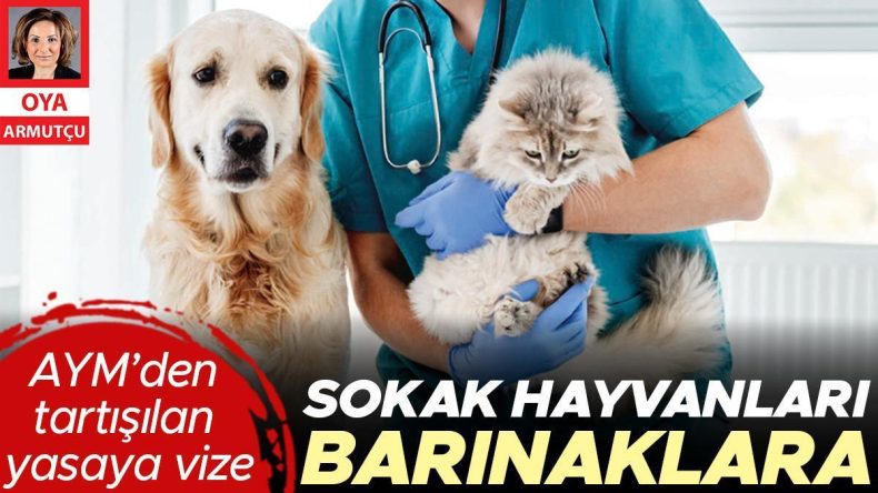 AYM’den tartışılan yasaya vize… Sokak hayvanları barınaklara