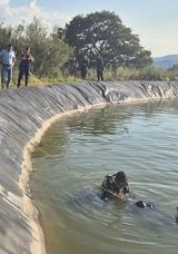 Balıkesir’de Sulama Kanalında Erkek Cesedi Bulundu