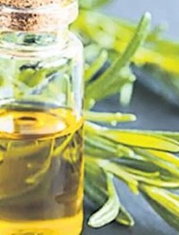 Biberiye Yağı Zihinsel Fonksiyonu Güçlendiriyor