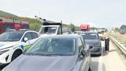 Bir Arının Yüzünden Kaza Yapan TIR Trafiği Kilitledi