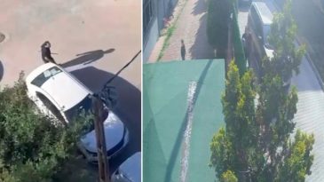 Büyükçekmece’de komşularına dehşeti yaşattı