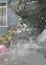 CHP’li Çınarcık Belediyesi Marmara Denizi’ni kirletti: Bakanlık ceza kesti!