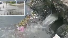CHP’li Çınarcık Belediyesi Marmara Denizi’ni kirletti: Bakanlık ceza kesti!