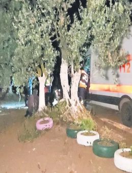 Çiftlik Evinde Baltalı Cani Katliam