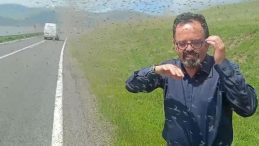 Çıldır Gölü Çevresinde ‘Yeşil Sinek’ İstilasına Dikkat!