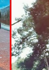 Denizli’de Feci Kaza! TIR’a Çarpan Otomobilin Sürücüsü ve Kuzeni Hayatını Kaybetti!
