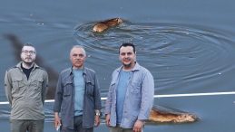 Diyarbakır’da Görülen Canlı İçin Bilim İnsanları Kentte İnceleme Yapıyor