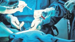 Dizdeki Ağrılara ‘Tıkaç’la Çözüm