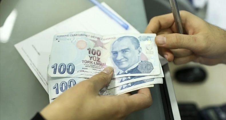 Doğum Yardımları Hesaplara Aktarılıyor