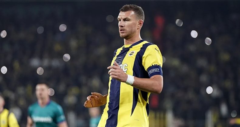 Dzeko ve Hajradinovic’e Milli Davet!
