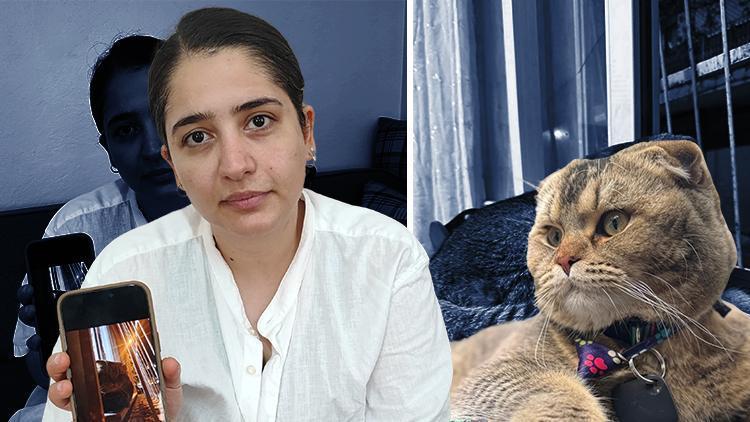 Evliliğinin kaderi bu kediye bağlı… ‘Eşim beni boşayacak’