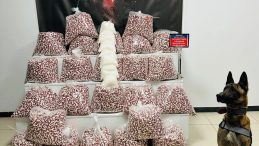 Gebze’de Uyuşturucu Operasyonu: Tırdan 397 Bin Sentetik Hap ve 7 Kilo Metamfetamin Ele Geçirildi!