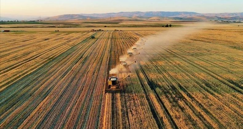 Genel Tarım Sayımına İlişkin Genelge Resmi Gazete’de Yayımlandı