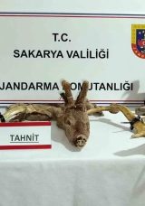 Hayvanat Bahçesi Gibi Ev: Görülenler Şaşkına Çeviriyor!