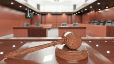 İBB Soruşturmasında Ağaç ve Peyzaj A.Ş. İhalelerinde Usulsüzlük: 7 Kişi Tutuklandı