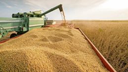 IFAD Başkanı Lario: Kırsal Tarıma Ekstra Çaba Gerekiyor