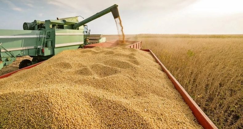 IFAD Başkanı Lario: Kırsal Tarıma Ekstra Çaba Gerekiyor