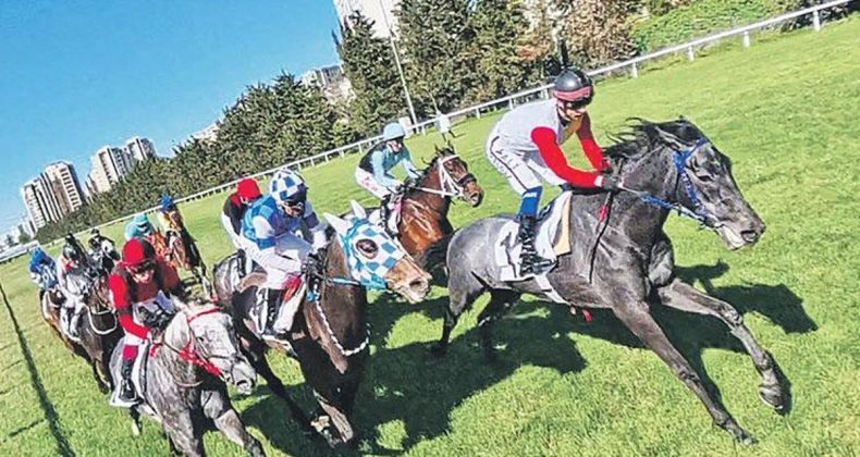 İlklerin Yarışı Lavender’in