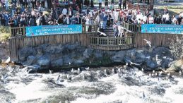İnci Kefali’nin Göç Şöleni